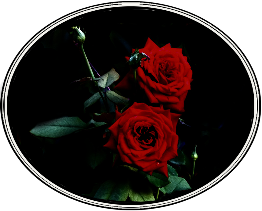 Multae Rosae - Natan Tale & Laura Altamura - Un "esperimento" artistico-editoriale - Logo