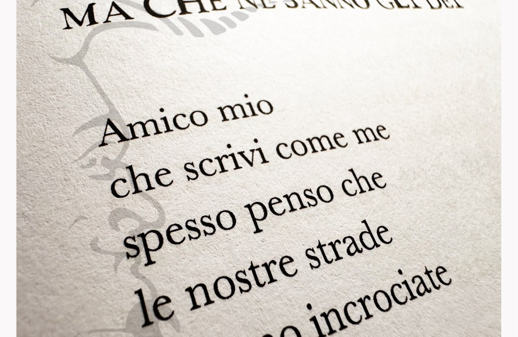"Demoni Cialtroni. Dialogo." di Ezio Falcomer e Letizia Zito - Estratto - "I Singoli in Versi" sottocollana poetica della serie di libri "I Singoli" di Multae Rosae